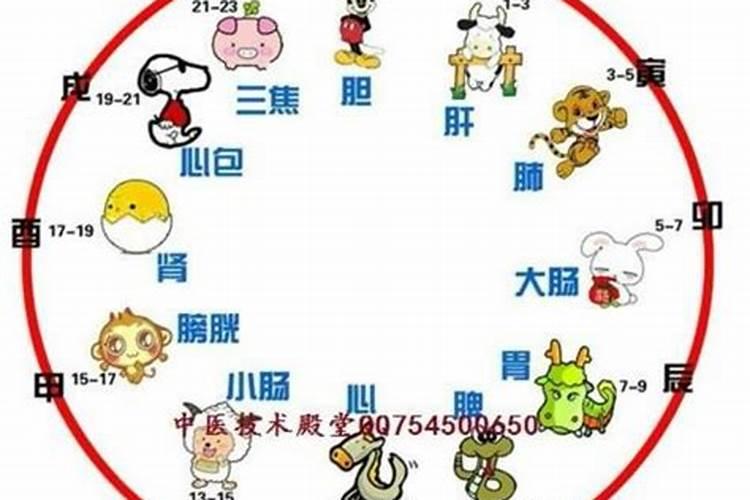 重阳节几点生的宝宝好些