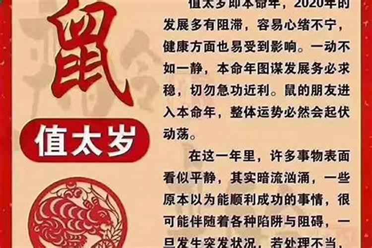 梦到自己亲哥来我家住