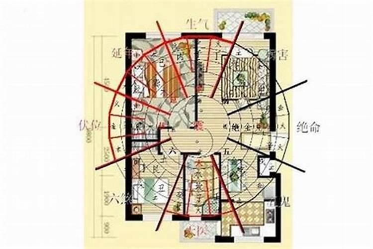 1975年属兔运程44岁运如何