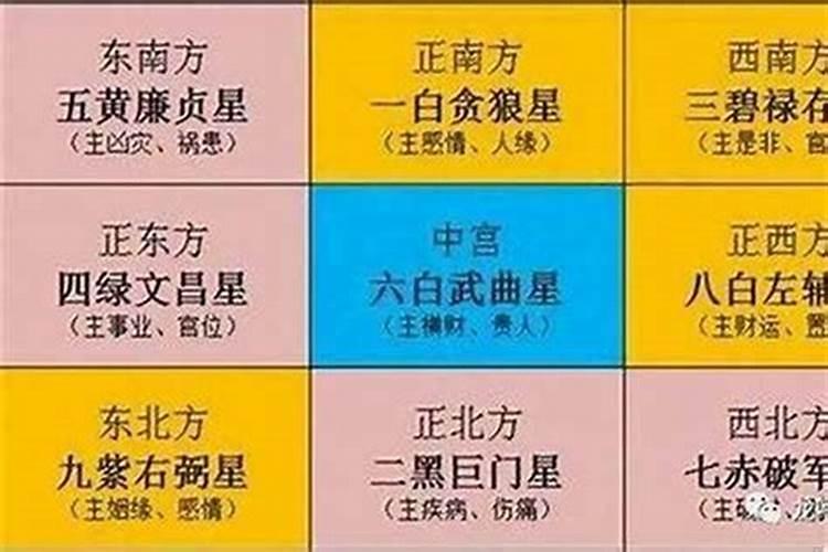 属兔适合做什么生意挣钱