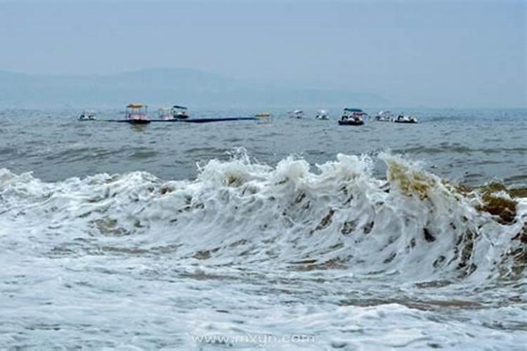 梦见海水干枯