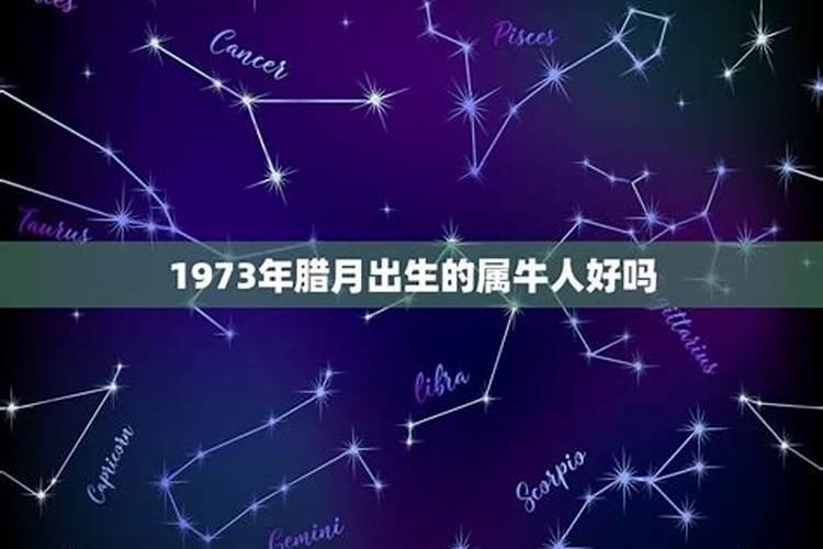 1997年属牛女一生命运