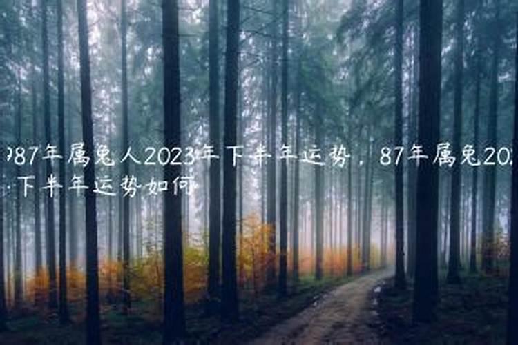 兔年2023年下半年运势