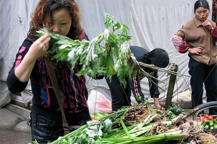 端午节挂艾草有什么讲究