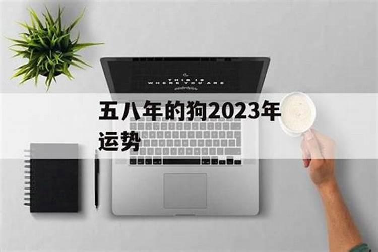 五八年属狗是2021命运如何