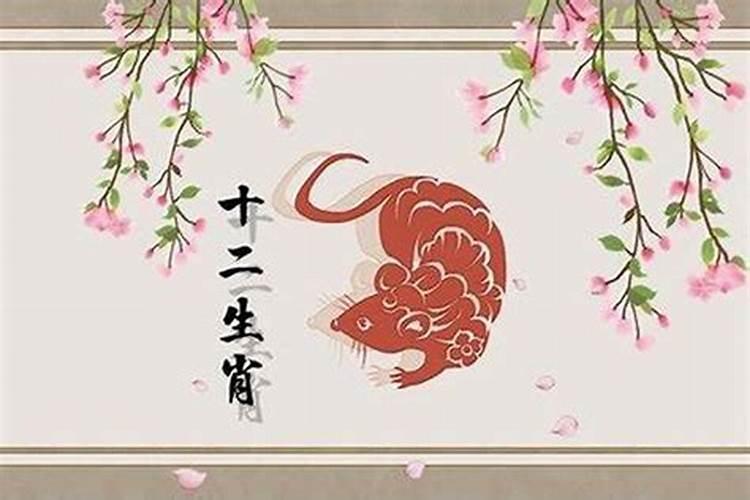 属鼠今年的运程如何