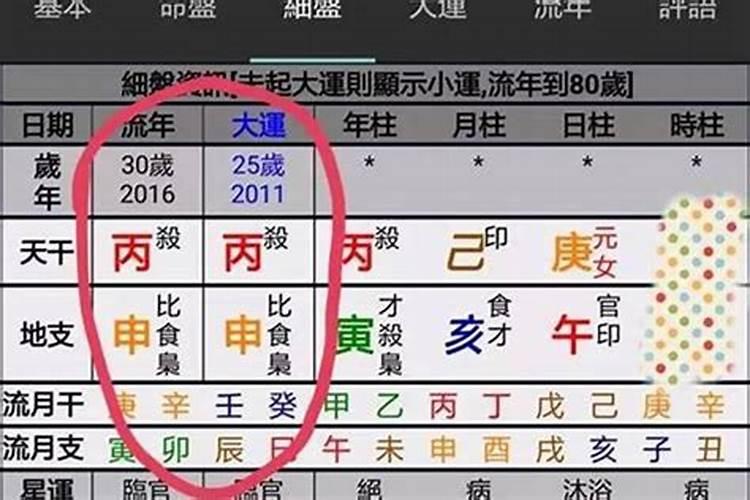 属马属马2023年运势