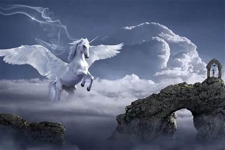梦见马在天上飞跑周公解梦