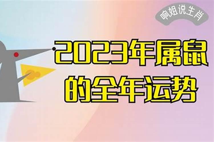 2023属鼠人全年每月运势