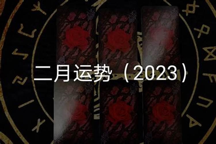 龙人女2023年运势如何