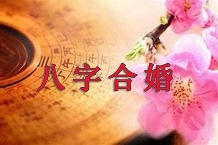 梦见在坟上祭拜什么意思