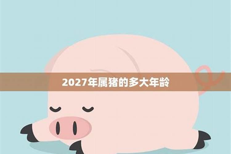 2027年属猪