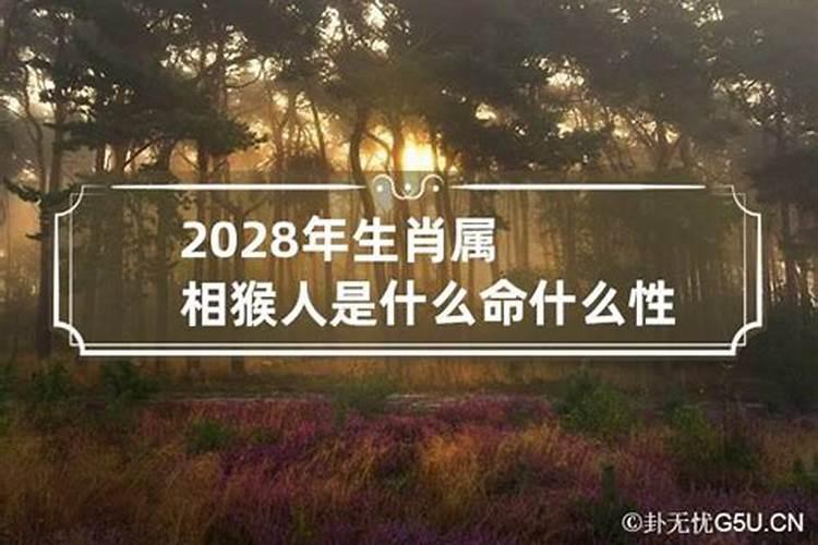 2028年什么属相