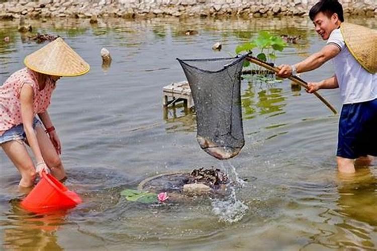 梦见在鱼塘捉鱼是什么意思