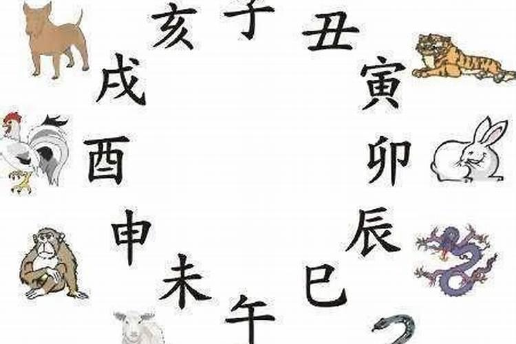 属龙的和属兔的八字合吗