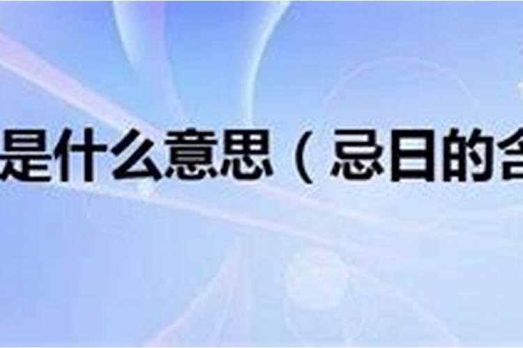 属鼠2024年下半年运势运程