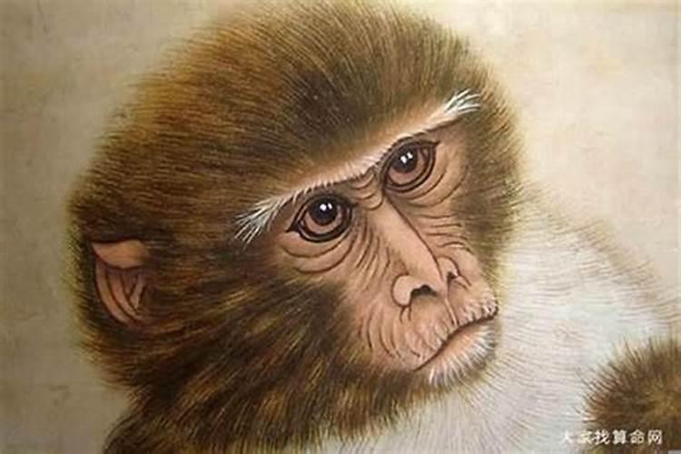 1992年出生的属猴人
