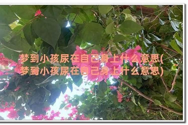 梦见把女婴尿