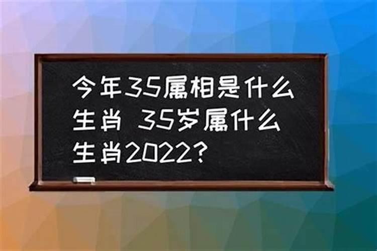 今年35岁属相是属什么的