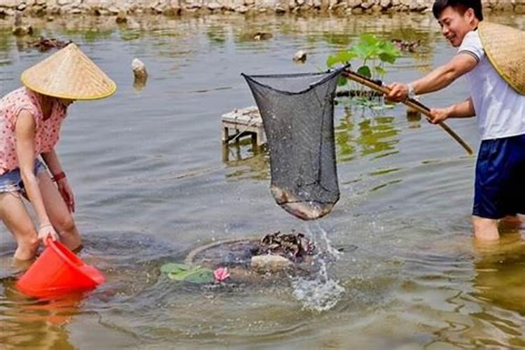 梦见海里涨大水是黄的