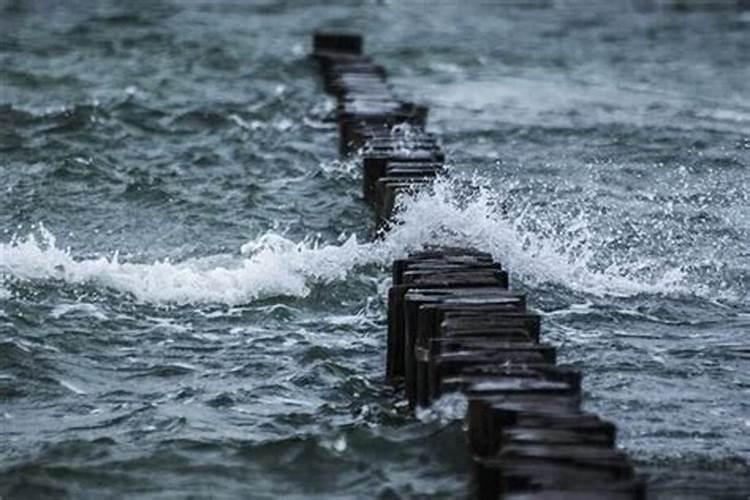 梦见海里涨大水是黄的