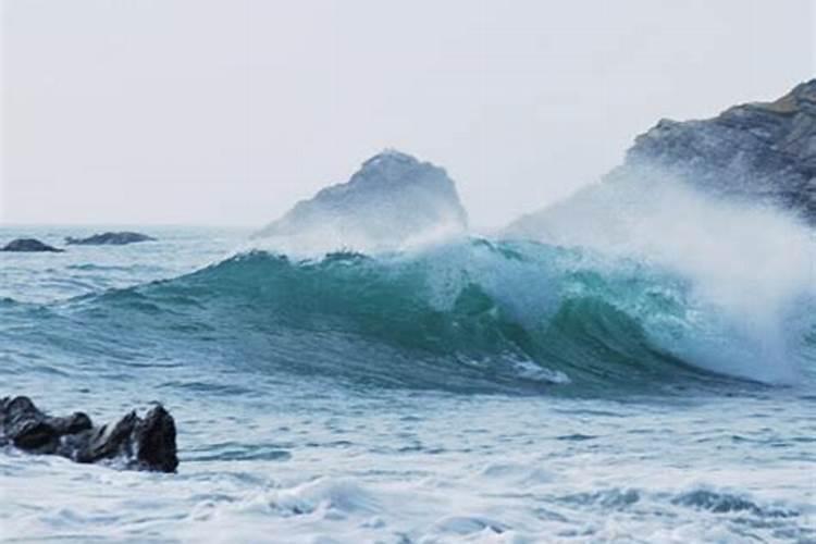 梦见海水变黄