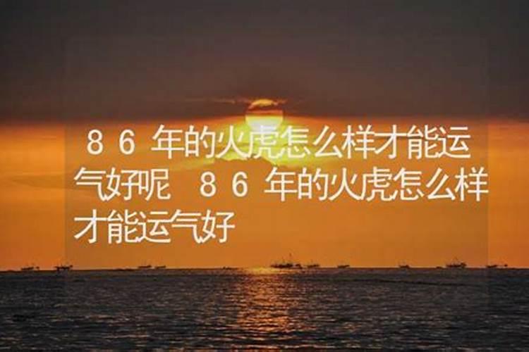 86年虎8月份运势如何