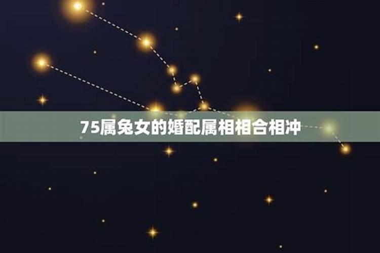 上升天秤的明星