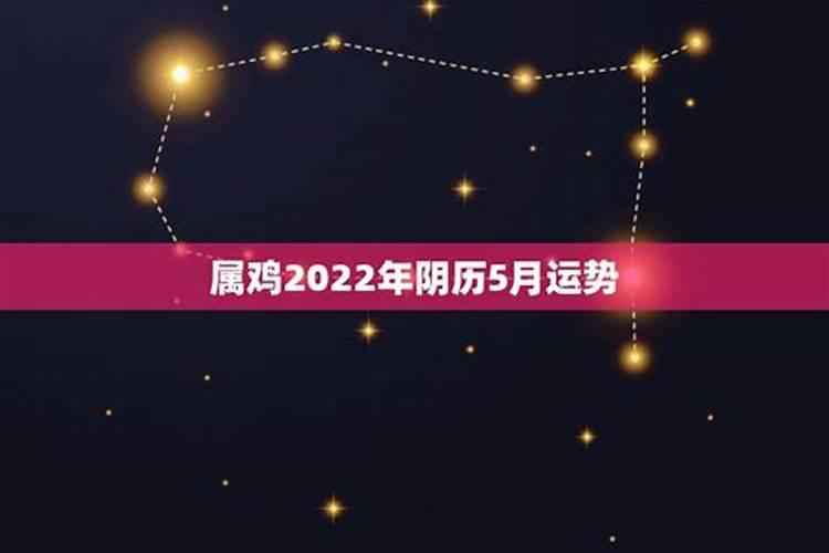 2023年属兔运势财运怎么样