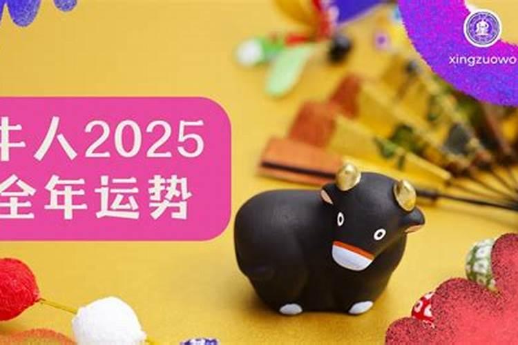 71年猪2023年运势如何