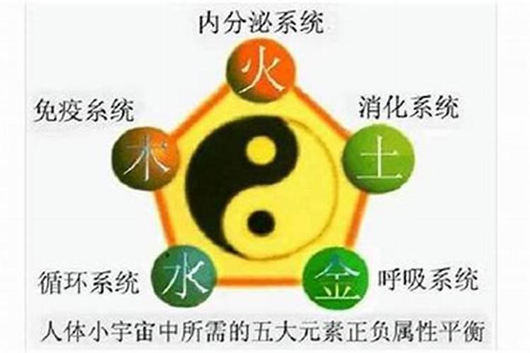 梦见黑狗扑过来要咬我没咬到