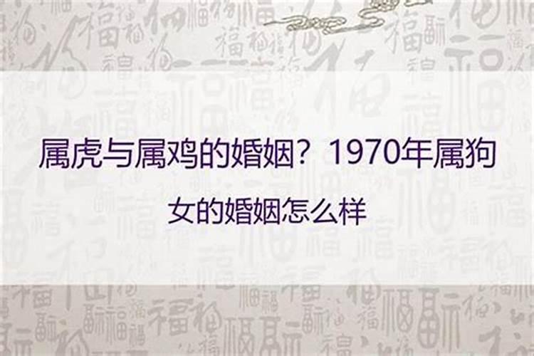 1977年二月出生属蛇女的命运