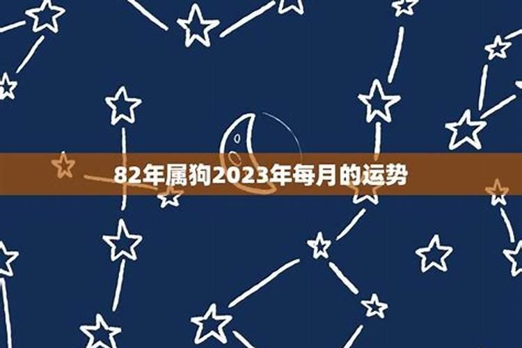 82年狗2023年每月运势如何详细