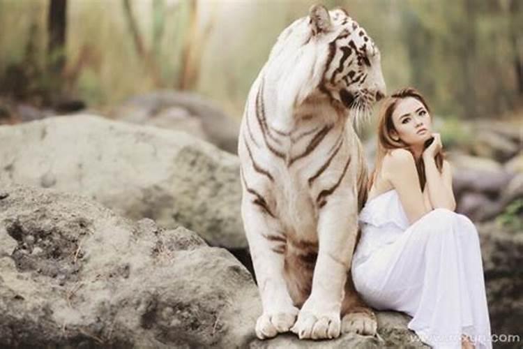女人梦见家里有老虎是什么意思