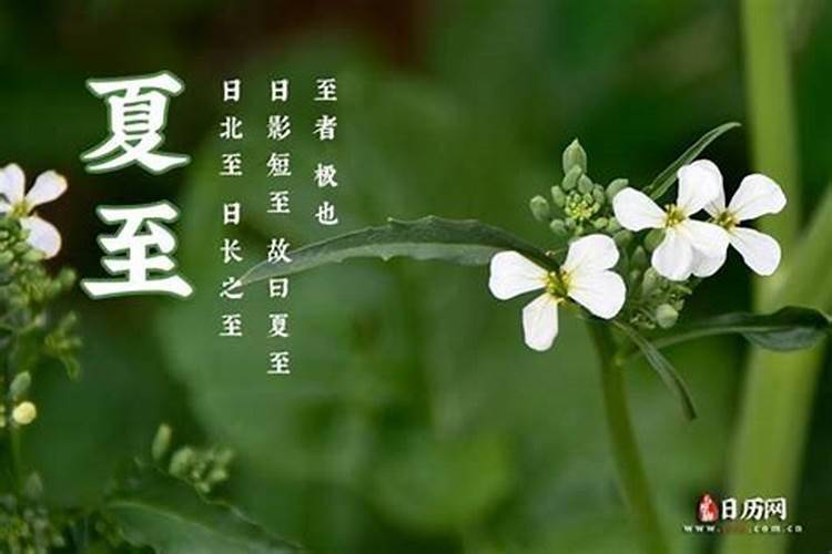 夏至是什么季节的节气