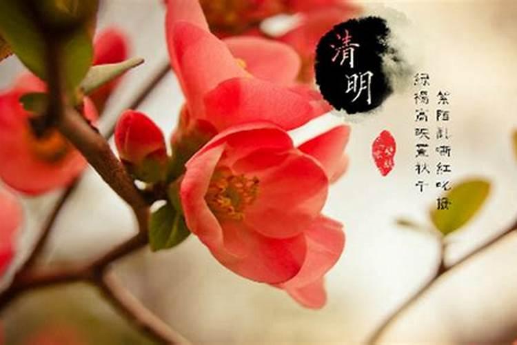 农历清明节什么日子