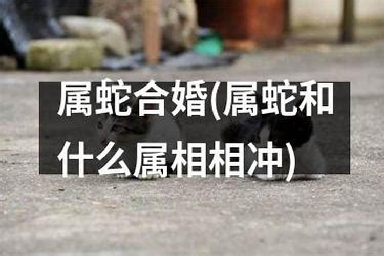 梦见和男朋友亲密是什么意思