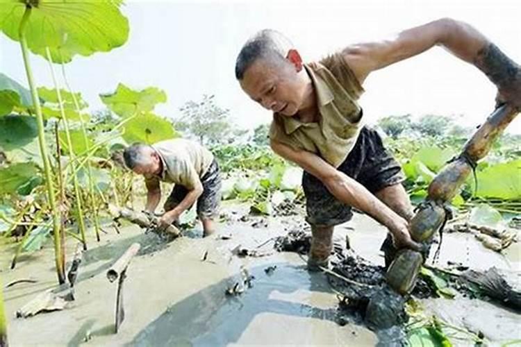 属羊犯太岁戴什么石头好