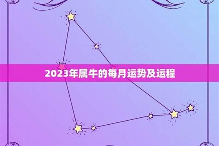 69年2023年运势及运程每月运程