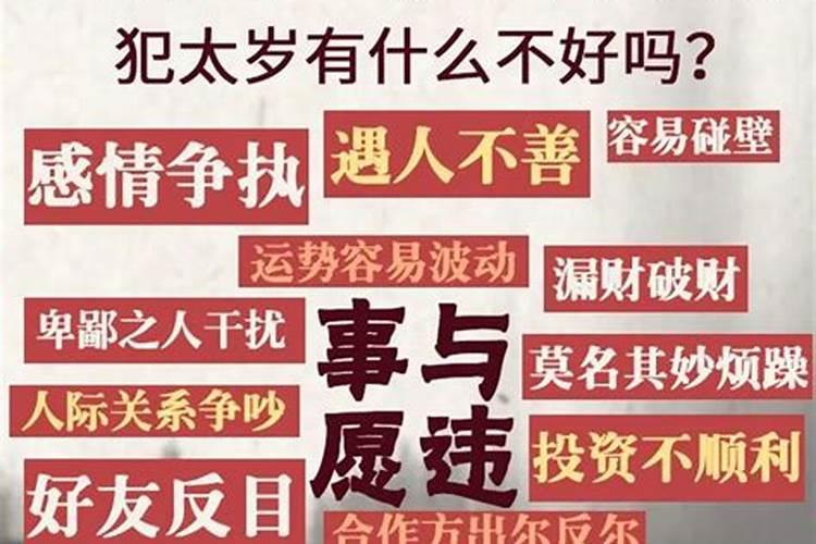 2023年属蛇刑太岁要注意什么