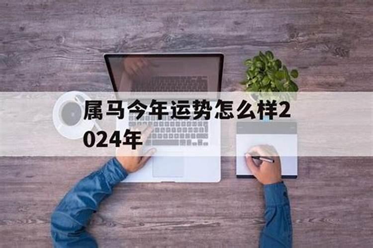 属马今年运势怎么样2024年运程