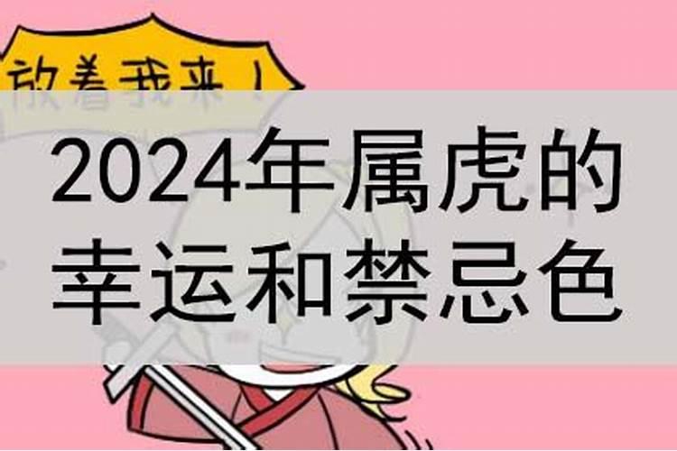 2022属虎幸运色