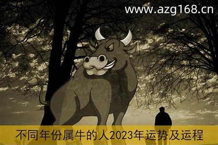 2023生肖牛