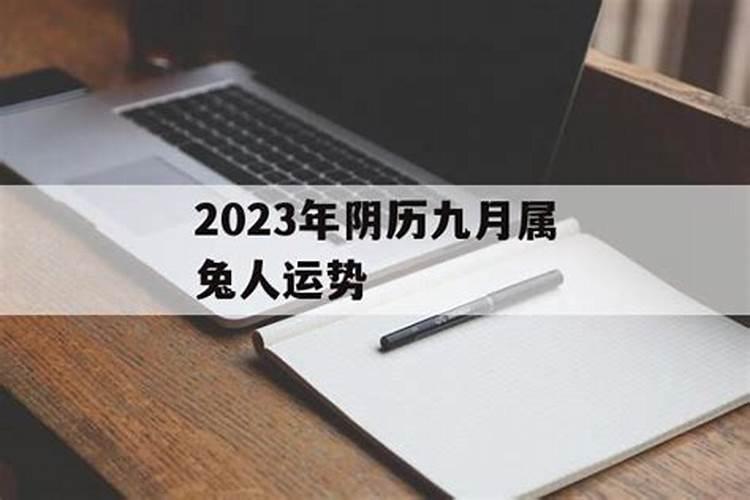 属兔农历2023年运势及运程