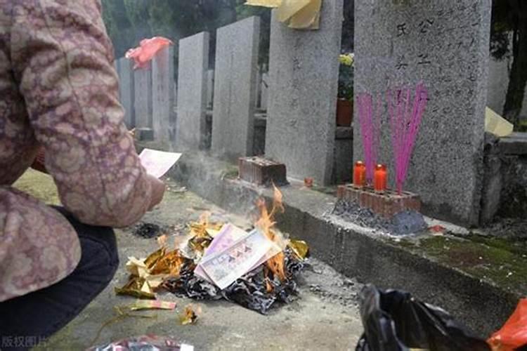 66年5月初九生的人命运怎样