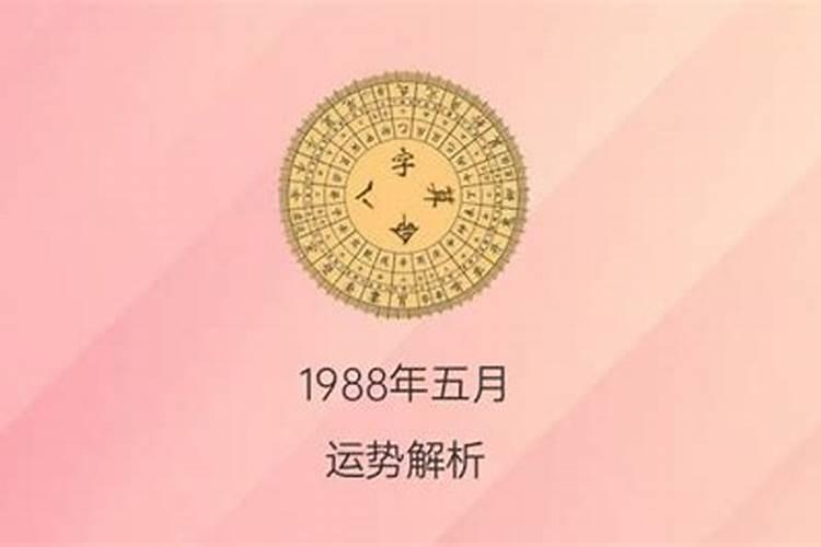 1988年正月初二出生的人命运