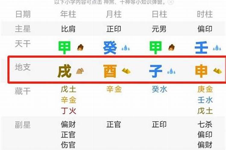 八字算命中地支代表什么意思