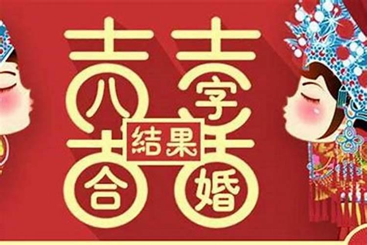 属猪今年八月运势