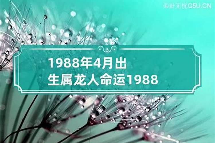 1988年三月十五出生的人