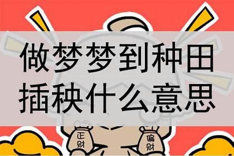 做梦梦到回老家种地